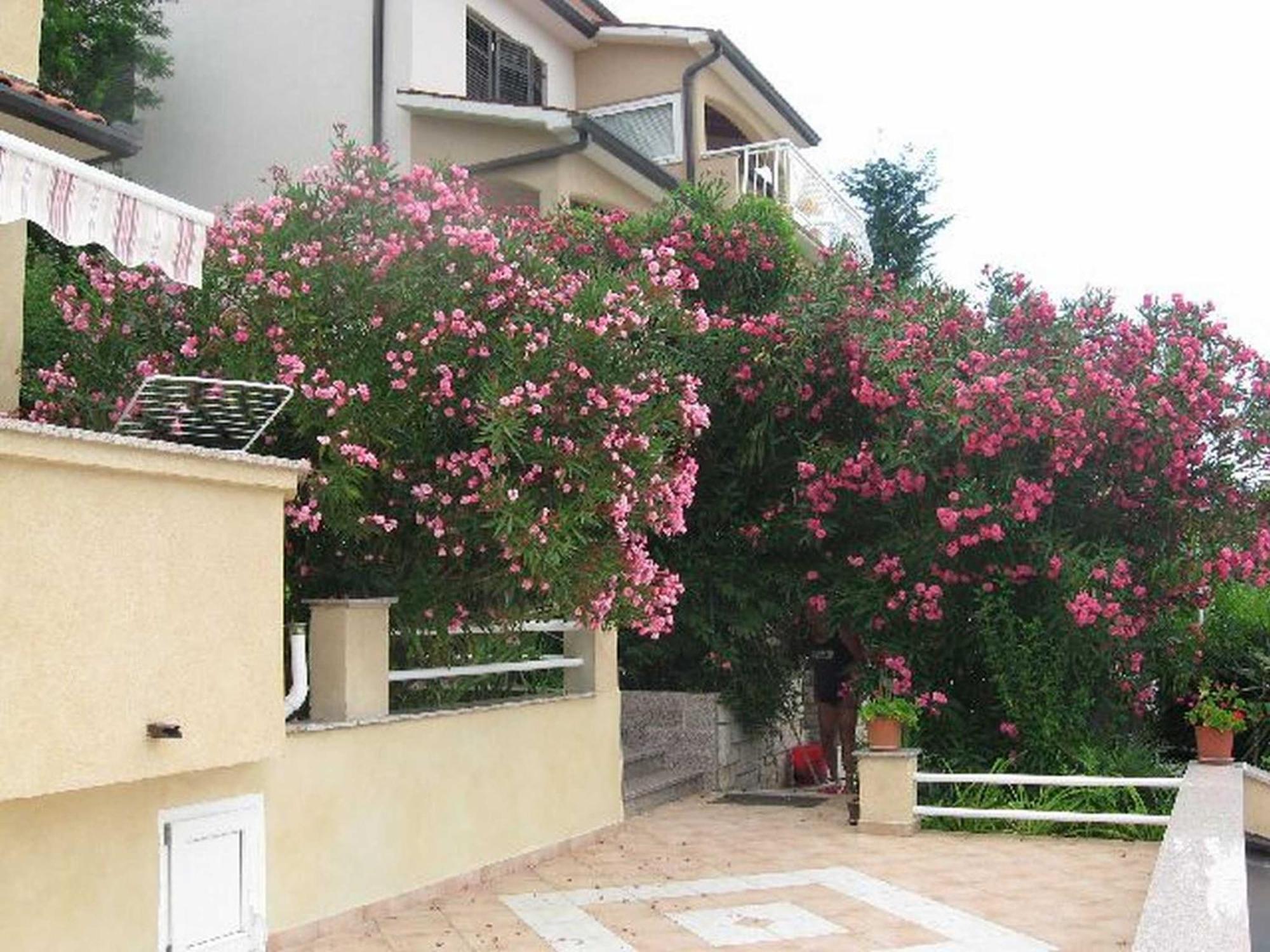 Apartments Silmare Rabac Buitenkant foto