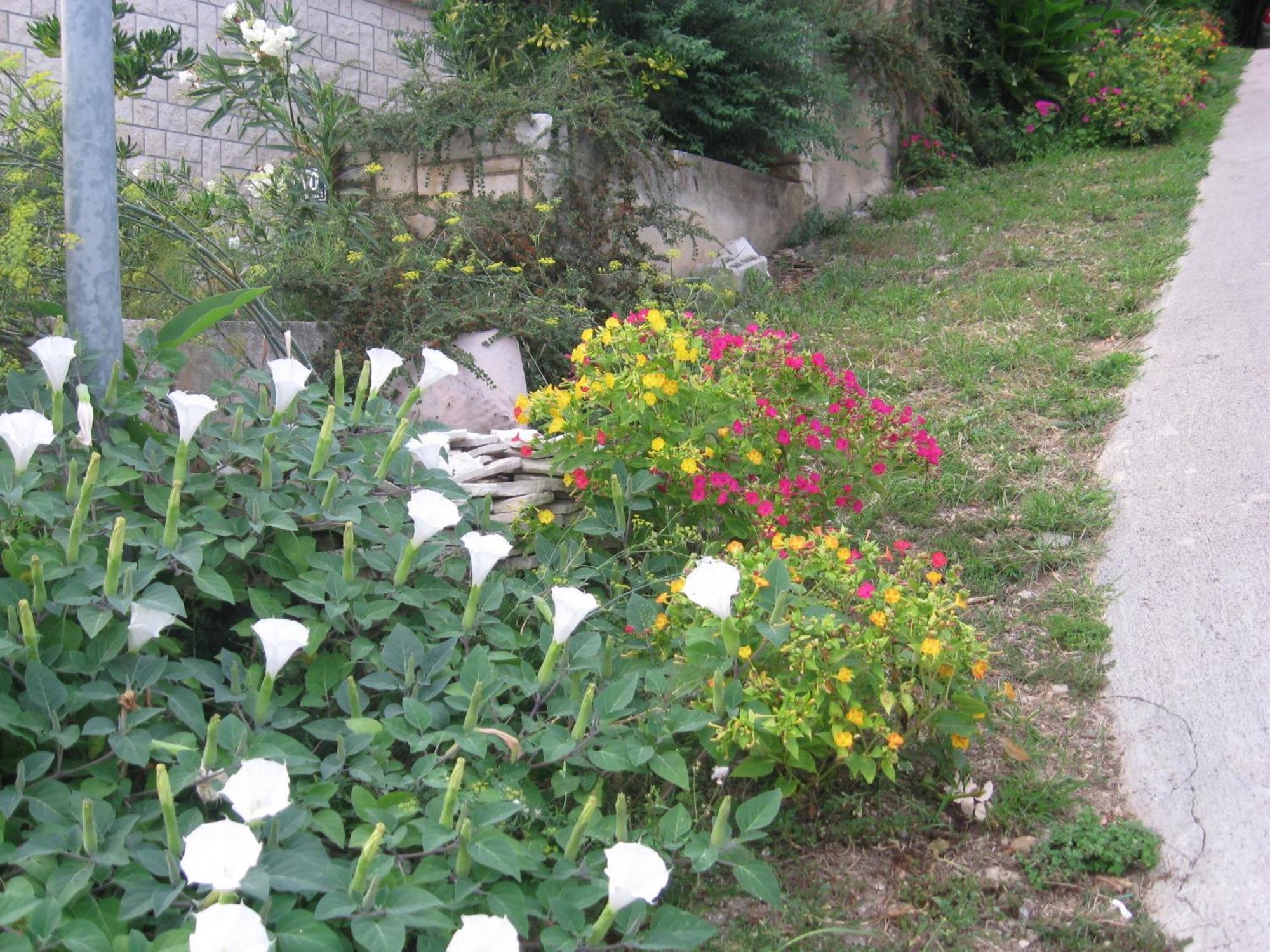 Apartments Silmare Rabac Kamer foto