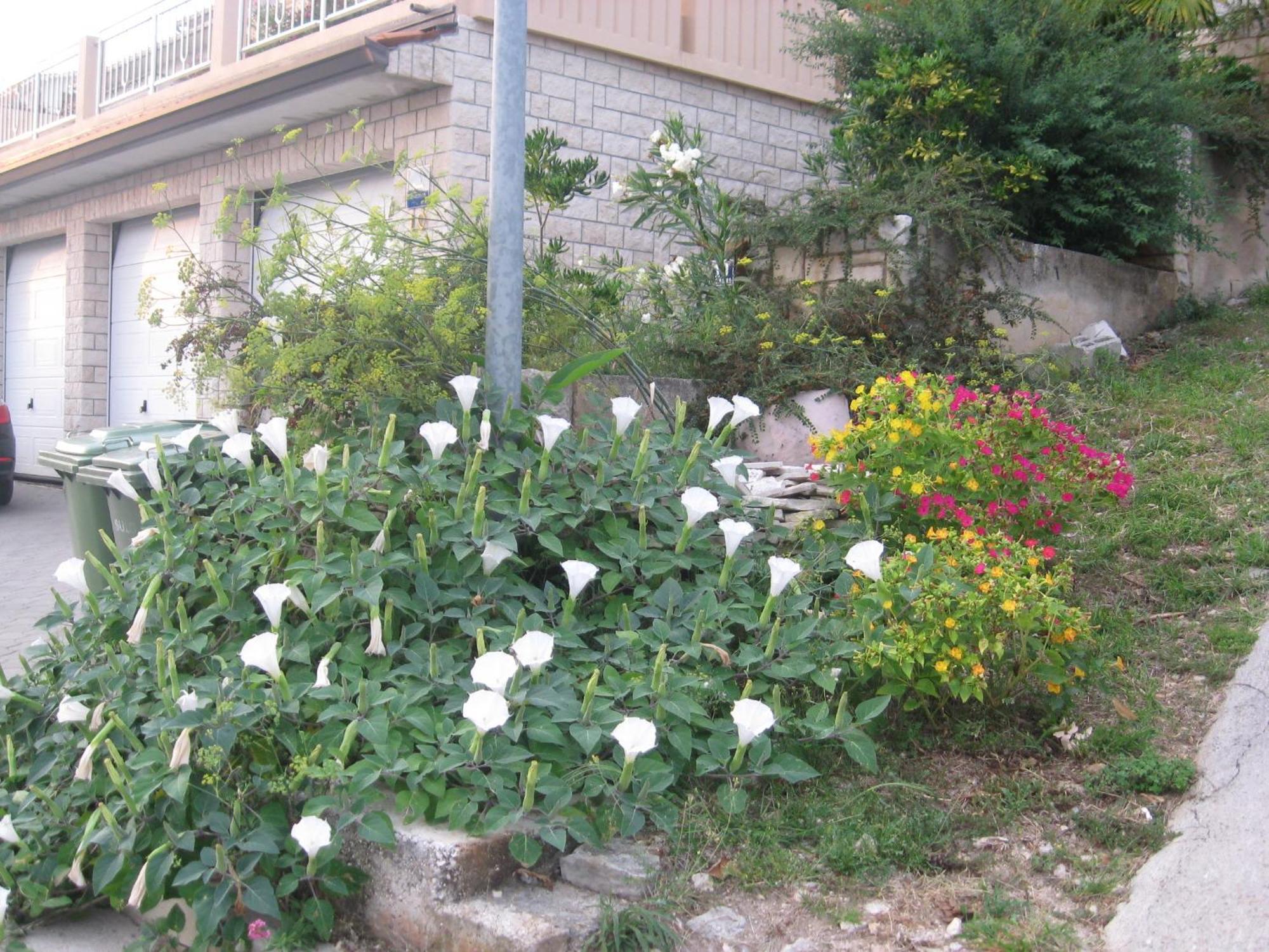 Apartments Silmare Rabac Kamer foto
